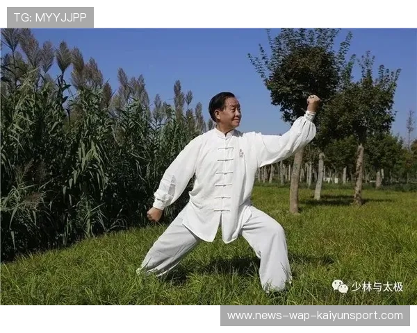 罗林斯拳架稳定性增强