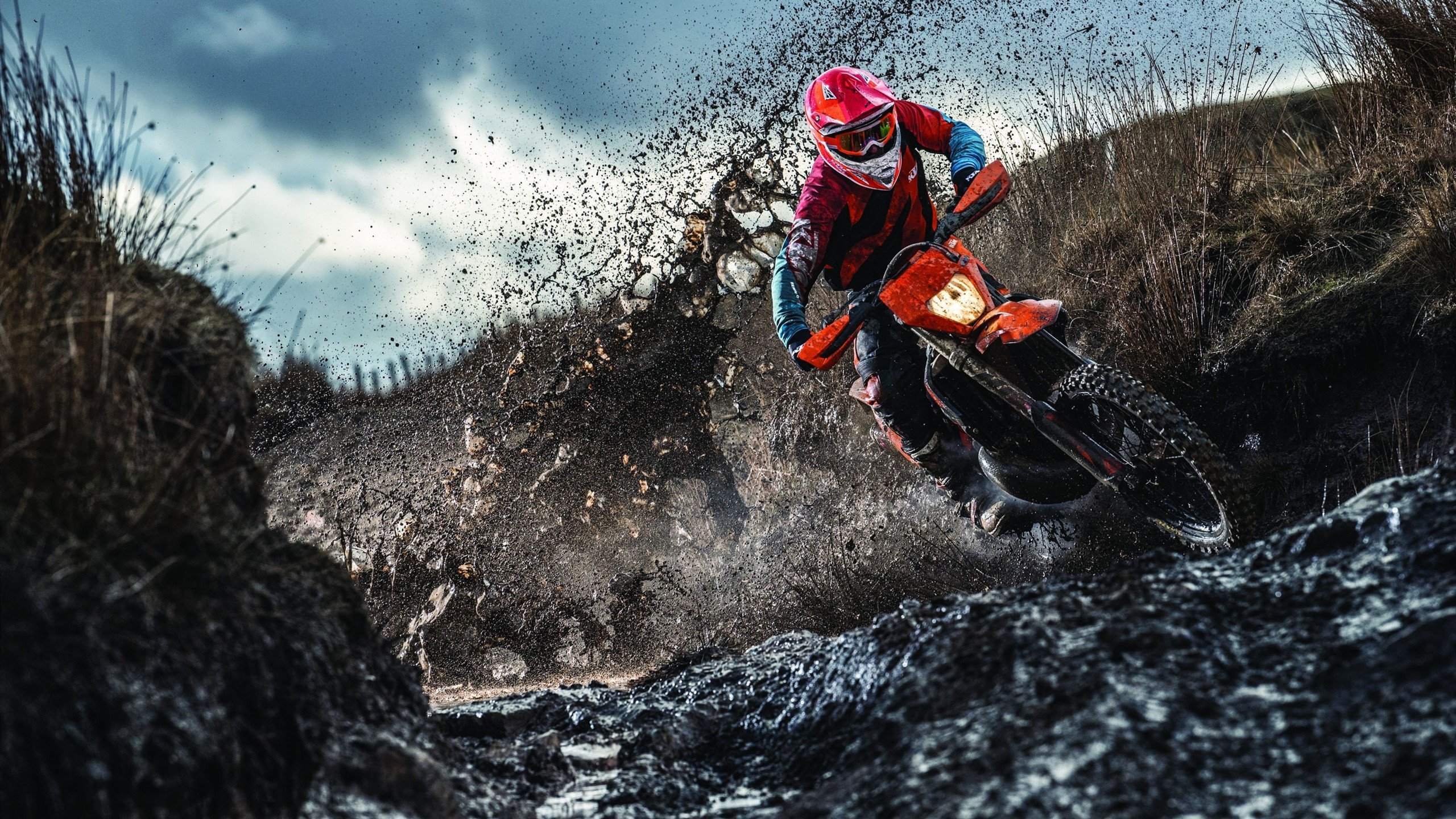 体育赛事全球传播加快，全球体育赛事价值